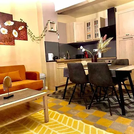 Apartment L'elegant Avec Terrasse Et Plancha *